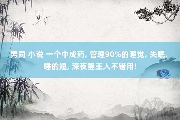 男同 小说 一个中成药， 管理90%的睡觉， 失眠， 睡的短， 深夜醒王人不错用!