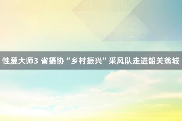 性爱大师3 省摄协“乡村振兴”采风队走进韶关翁城