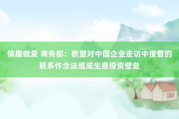 情趣做爱 商务部：欧盟对中国企业走访中接管的联系作念法组成生意投资壁垒