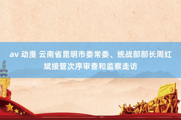 av 动漫 云南省昆明市委常委、统战部部长周红斌接管次序审查和监察走访