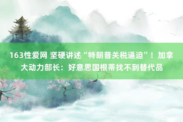 163性爱网 坚硬讲述“特朗普关税逼迫”！加拿大动力部长：好意思国根蒂找不到替代品