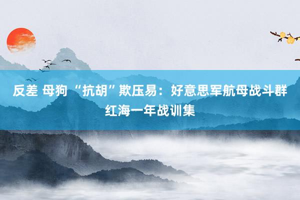 反差 母狗 “抗胡”欺压易：好意思军航母战斗群红海一年战训集