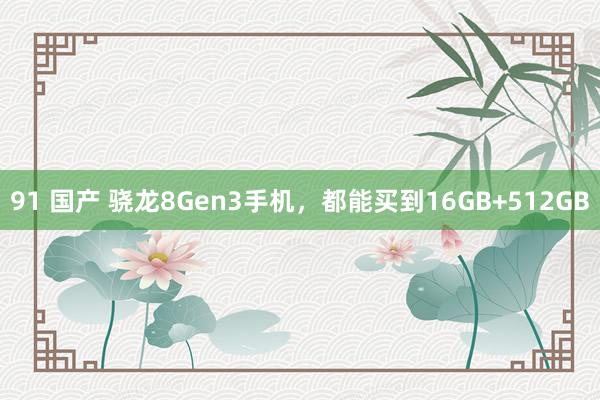 91 国产 骁龙8Gen3手机，都能买到16GB+512GB