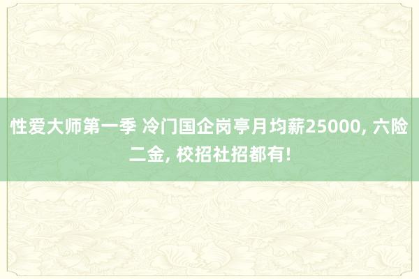 性爱大师第一季 冷门国企岗亭月均薪25000， 六险二金， 校招社招都有!
