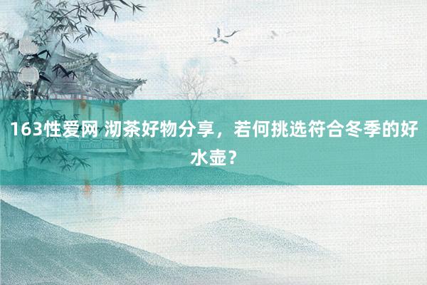 163性爱网 沏茶好物分享，若何挑选符合冬季的好水壶？