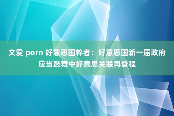 文爱 porn 好意思国粹者：好意思国新一届政府应当鼓舞中好意思关联再登程