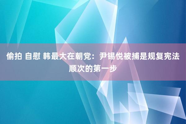 偷拍 自慰 韩最大在朝党：尹锡悦被捕是规复宪法顺次的第一步
