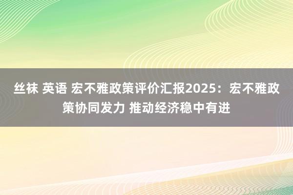 丝袜 英语 宏不雅政策评价汇报2025：宏不雅政策协同发力 推动经济稳中有进