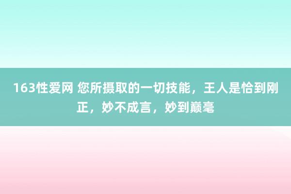 163性爱网 您所摄取的一切技能，王人是恰到刚正，妙不成言，妙到巅毫
