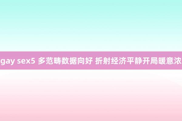 gay sex5 多范畴数据向好 折射经济平静开局暖意浓