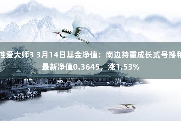 性爱大师3 3月14日基金净值：南边持重成长贰号搀和最新净值0.3645，涨1.53%
