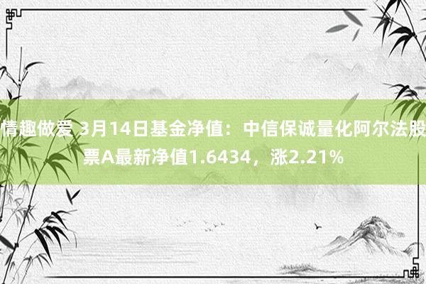 情趣做爱 3月14日基金净值：中信保诚量化阿尔法股票A最新净值1.6434，涨2.21%