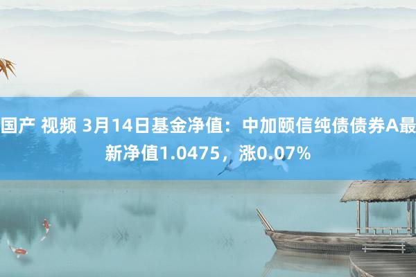 国产 视频 3月14日基金净值：中加颐信纯债债券A最新净值1.0475，涨0.07%