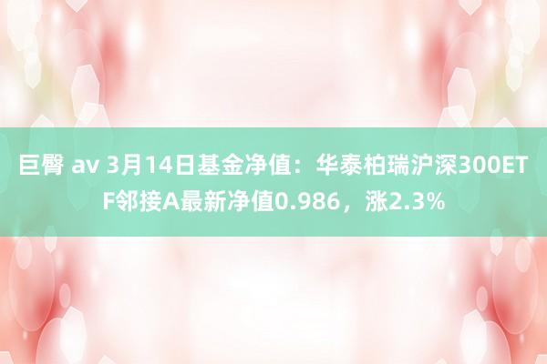 巨臀 av 3月14日基金净值：华泰柏瑞沪深300ETF邻接A最新净值0.986，涨2.3%