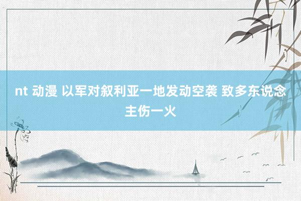 nt 动漫 以军对叙利亚一地发动空袭 致多东说念主伤一火