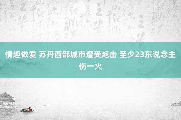 情趣做爱 苏丹西部城市遭受炮击 至少23东说念主伤一火