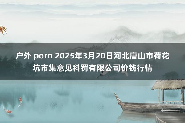 户外 porn 2025年3月20日河北唐山市荷花坑市集意见科罚有限公司价钱行情