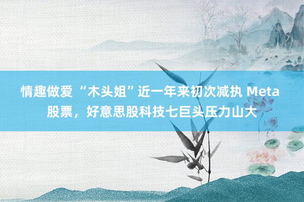 情趣做爱 “木头姐”近一年来初次减执 Meta 股票，好意思股科技七巨头压力山大