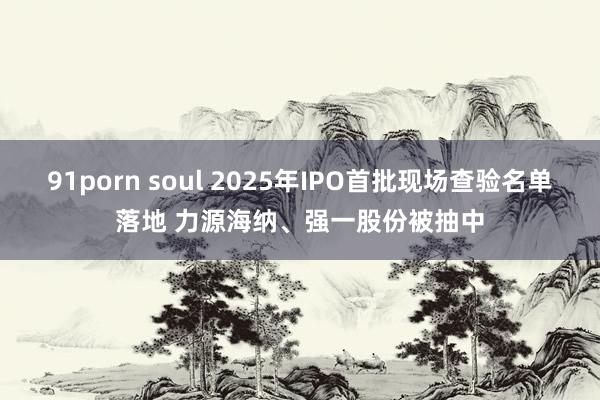 91porn soul 2025年IPO首批现场查验名单落地 力源海纳、强一股份被抽中