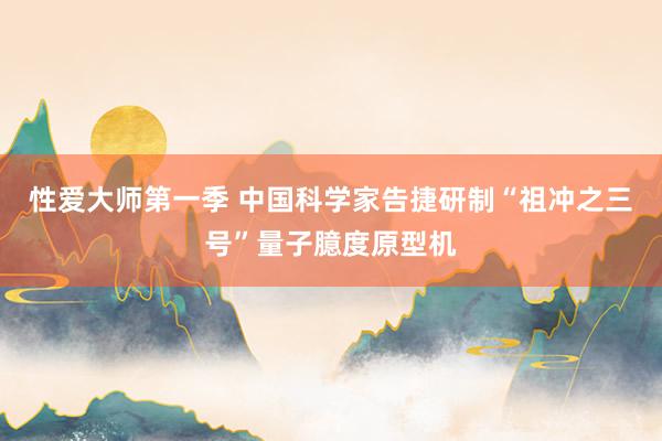 性爱大师第一季 中国科学家告捷研制“祖冲之三号”量子臆度原型机