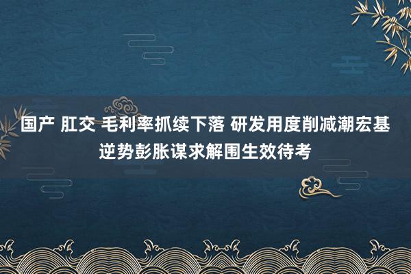 国产 肛交 毛利率抓续下落 研发用度削减潮宏基逆势彭胀谋求解围生效待考