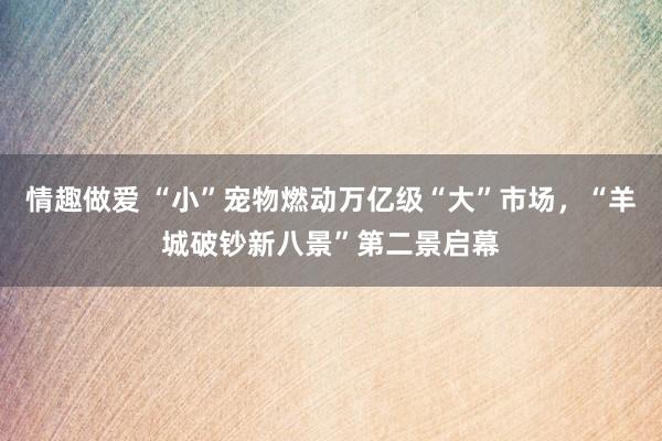 情趣做爱 “小”宠物燃动万亿级“大”市场，“羊城破钞新八景”第二景启幕