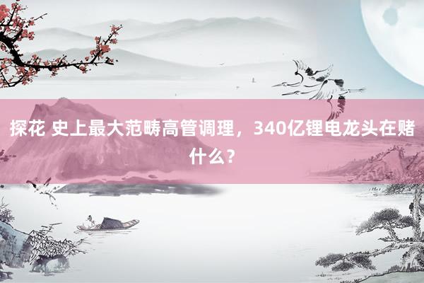 探花 史上最大范畴高管调理，340亿锂电龙头在赌什么？