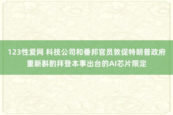 123性爱网 科技公司和番邦官员敦促特朗普政府重新斟酌拜登本事出台的AI芯片限定