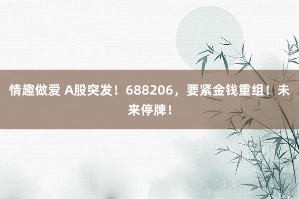 情趣做爱 A股突发！688206，要紧金钱重组！未来停牌！