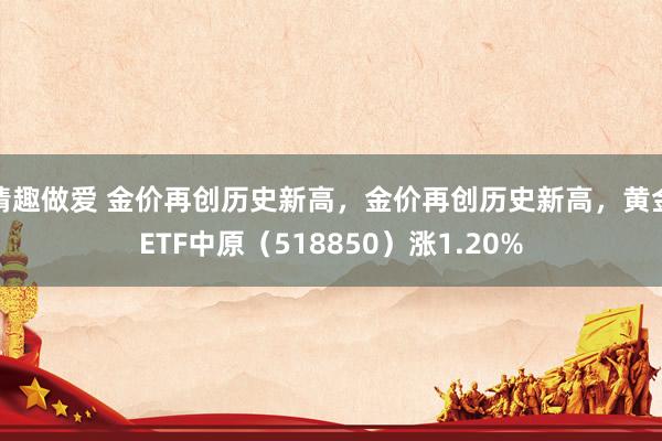 情趣做爱 金价再创历史新高，金价再创历史新高，黄金ETF中原（518850）涨1.20%
