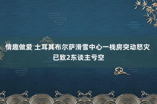 情趣做爱 土耳其布尔萨滑雪中心一栈房突动怒灾 已致2东谈主亏空