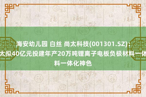 海安幼儿园 白丝 尚太科技(001301.SZ)：山西尚太拟40亿元投建年产20万吨锂离子电板负极材料一体化神色
