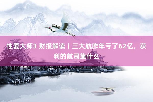 性爱大师3 财报解读｜三大航昨年亏了62亿，获利的航司靠什么