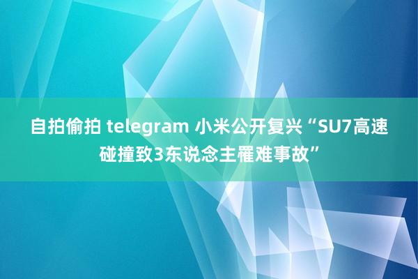 自拍偷拍 telegram 小米公开复兴“SU7高速碰撞致3东说念主罹难事故”