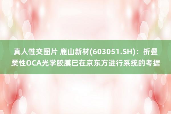 真人性交图片 鹿山新材(603051.SH)：折叠柔性OCA光学胶膜已在京东方进行系统的考据