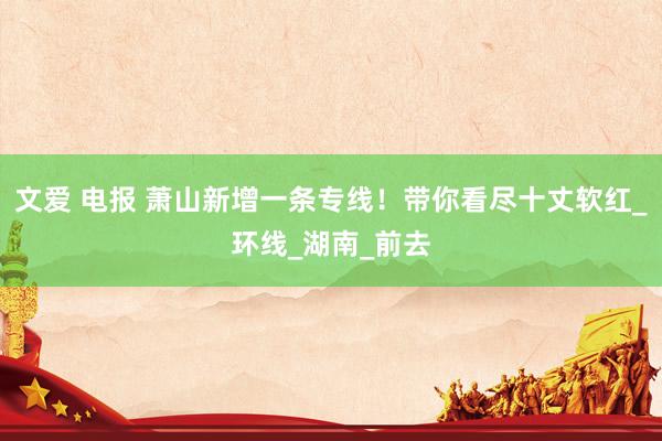 文爱 电报 萧山新增一条专线！带你看尽十丈软红_环线_湖南_前去