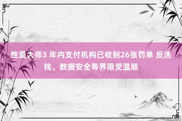 性爱大师3 年内支付机构已收到26张罚单 反洗钱、数据安全等界限受温顺