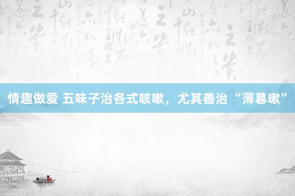 情趣做爱 五味子治各式咳嗽，尤其善治 “薄暮嗽”