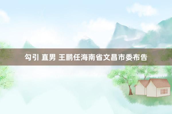 勾引 直男 王鹏任海南省文昌市委布告